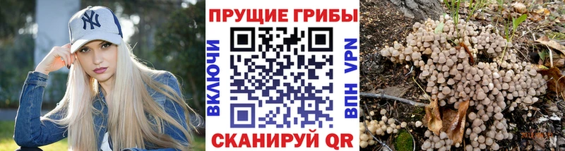 Псилоцибиновые грибы мухоморы  Бирюсинск 